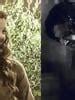 alperez fanfiction|Alperez16 .
